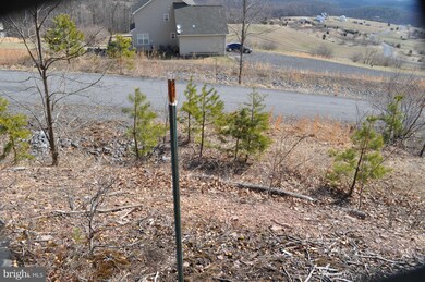 0 Herschel Ln unit 1003415506, Gerrardstown, WV 25420 - photo 2