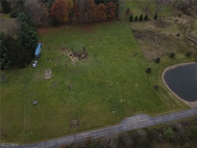 View of bird's eye view