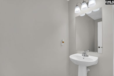 100 Baltic Ct, Chapin, SC 29036 - photo 6