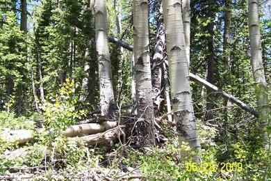 800 W 525 N unit GMA u-2 b-K lot 12, Brian Head, UT 84719 - photo 4