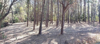 0 Millers Rd, Mullins, SC 29574 - photo 4