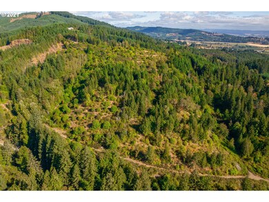 Drone View/UAV