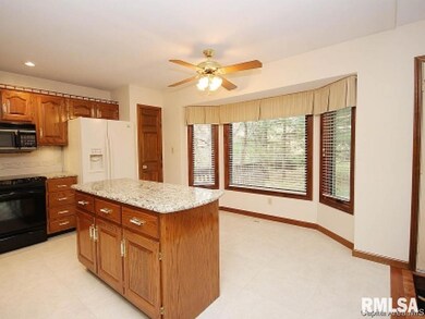 1320 Weston Pointe Dr, Springfield, IL 62704 - photo 6