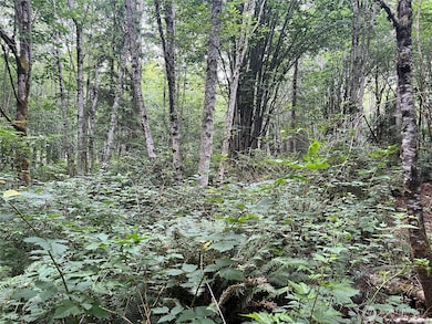 1 XX Scenic Dr NE, Poulsbo, WA 98370 - photo 7