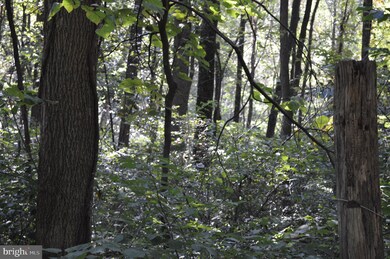 0 Freezeland Rd unit VAWR141562, Linden, VA 22642 - photo 3