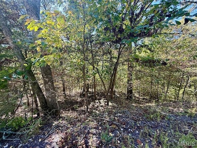 View of tree filled area