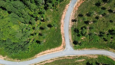 0 Vista Creek Dr unit 418544, Talking Rock, GA 30175 - photo 4