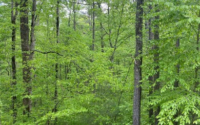 Additional View