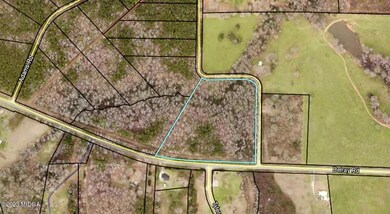 0 N Delray Rd unit 168762, Thomaston, GA 30286 - photo 5