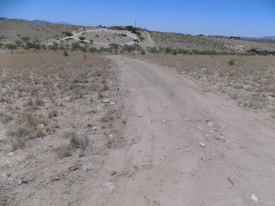 looking down the driveway