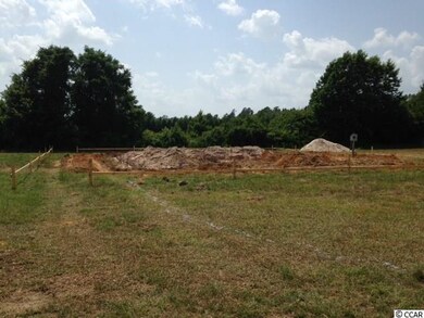 125 Brian Oaks Trail unit Brian Oaks Lot  7, Conway, SC 29527 - photo 3