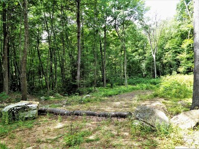 121 Paradise Ln, Sturbridge, MA 01518 - photo 2