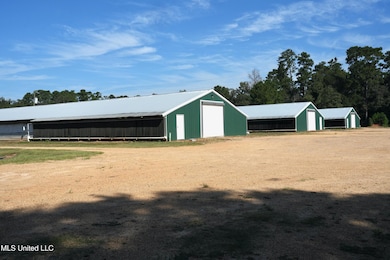 8001 W Topisaw S, Summit, MS 39666 - photo 2