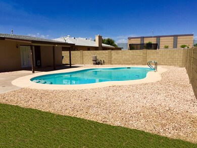 Back Yard_05B