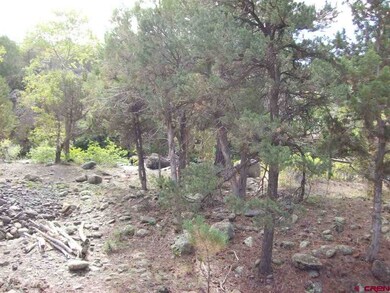 0 NE Ginters Grove Ln unit 684871, Cedaredge, CO 81413 - photo 6