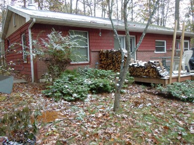 1112 W Woodland Park Dr, Bitely, MI 49309 - photo 3