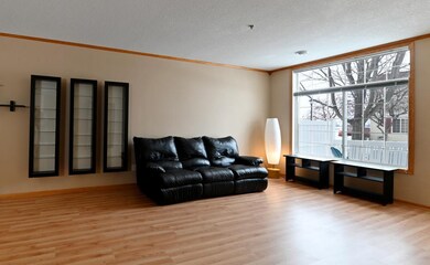 Enjoy the view out this beautiful picture window!