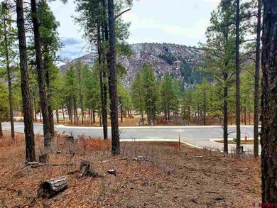 0 Bell Flower Ct unit 767541, Durango, CO 81301 - photo 2