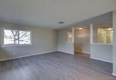 Entry Light & Bright Windows