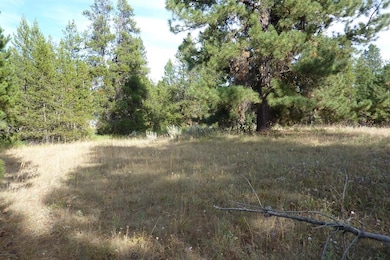 One Possible Building Site