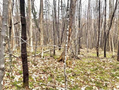 237 Ridge Rd, Stewartstown, NH 03576 - photo 3