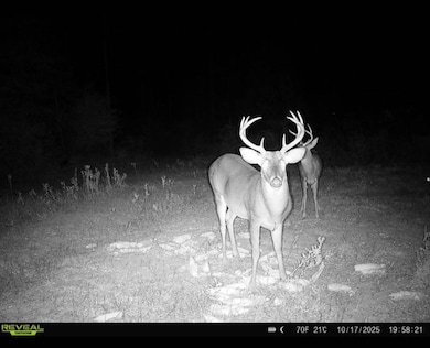 28874 Bell Crossing Rd, Opp, AL 36467 - photo 6