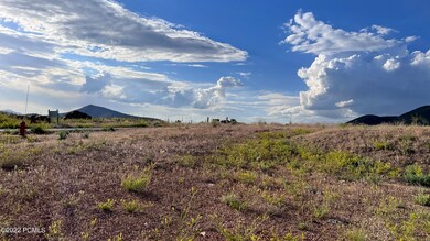 IMG_4302
