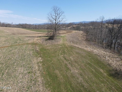 Tbd River Village Ln, Afton, TN 37616 - photo 3