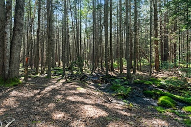 Lot 2B Allen Point Rd, Harpswell, ME 04079 - photo 4