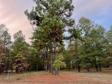 0 Lochinvar Ln unit 2, Shreveport, LA 71106 - photo 4