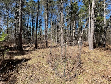 80AC off Razorback Rd, Conover, WI 54519 - photo 2