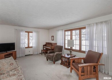 2401 3rd St, Moline, IL 61265 - photo 6