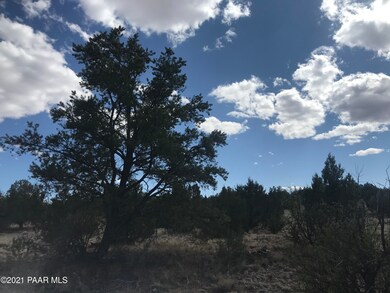 225 Off of Camp Rd, Ash Fork, AZ 86320 - photo 5