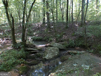 0 Mount Tabor Rd unit 10560482, Oxford, GA 30054 - photo 5