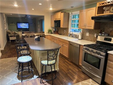 Kitchen Into Living Room