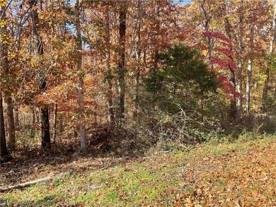 TBD Morvan Ln, Bella Vista, AR 72715 - photo 4