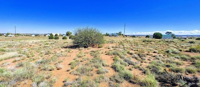 1190 Haystack Rd unit Lot 68, Taylor, AZ 85939 - photo 4