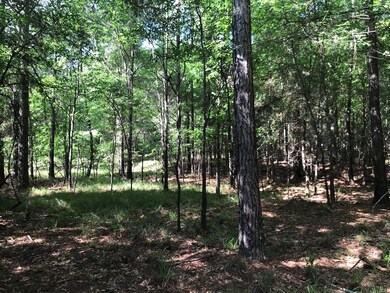 33.8 Ac Clay Hill Rd, Lincolnton, GA 30817 - photo 3