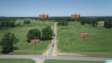 0 Highway 57 unit 21389690, Blountsville, AL 35031 - photo 2