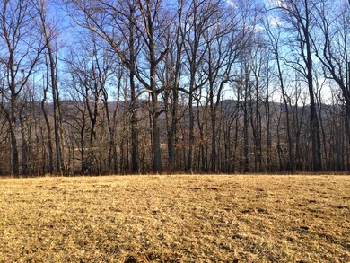 eastern view upper meadow