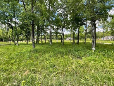 0 Lot 38 Lynnlee Ln unit 24-1774, Myrtle, MS 38650 - photo 5