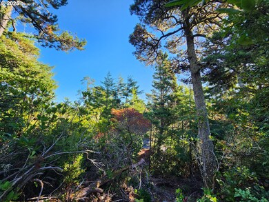 0 Windleaf Way unit TL4100 313727279, Florence, OR 97439 - photo 2