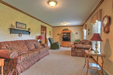 320 Coxes Springs Rd, Fall Branch, TN 37656 - photo 6