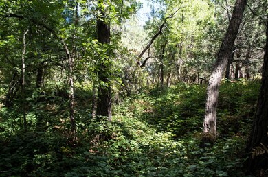 535 N Rim Trail