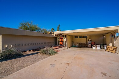 Saguaro Model