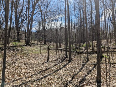 nicely wooded