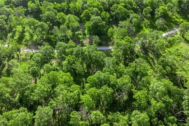 Lot 76 Restore Ridge, Harrison, AR 72601 - photo 5