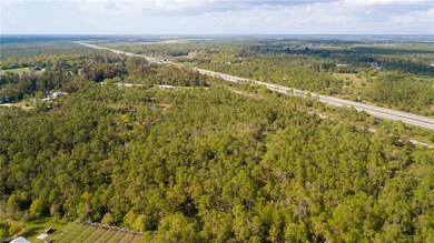 Aerial view of potential 42+ acres