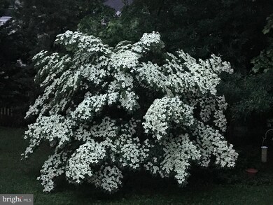 25784 Spectacular Run Place, Chantilly, VA 20152 - photo 5