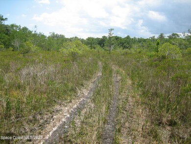 Grant Land Road